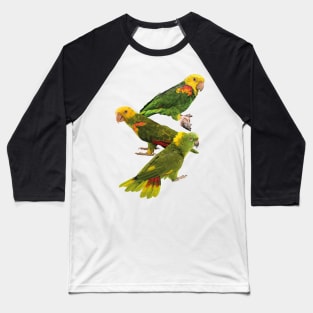 Parrots Baseball T-Shirt